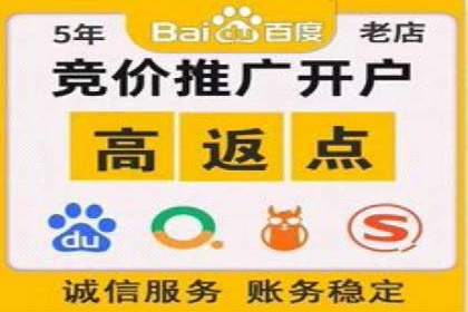 案例解析：托管SEM竞价助力企业腾飞